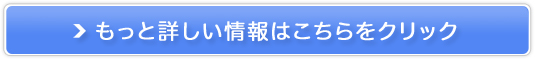 v~A{fB[\[vfILE玉L΍
̔TCg